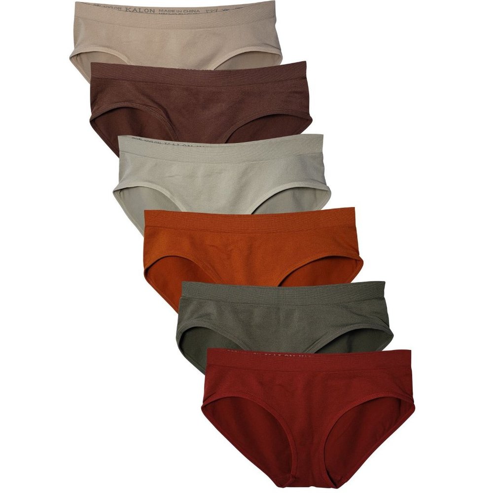 6 Pack Women's Nylon Spandex Hipster Brief Underwear A11 Earth Tones New NWB